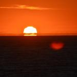 Cambria_2015_0231 (November 07, 2015)